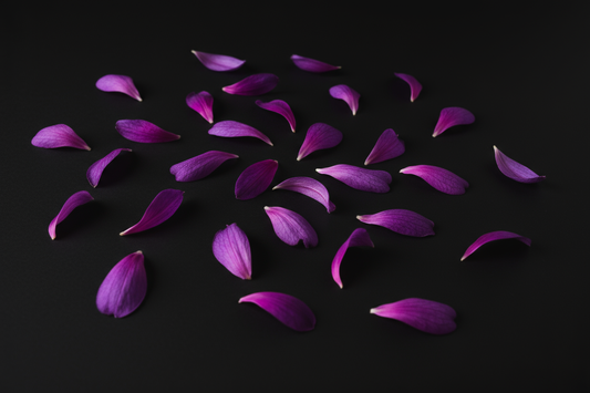 The Art of Sexual Wellness: Redefining Intimacy the Kinky & Klassy Way